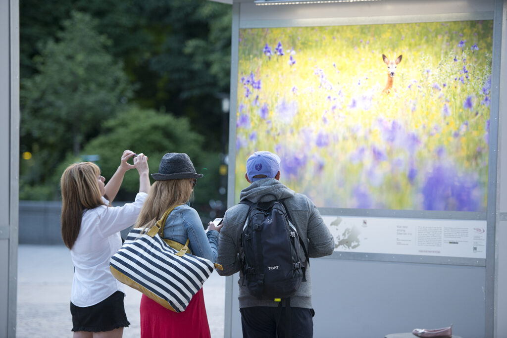 "Powerful images are a key tool when it comes to rewilding communication. They can educate, explain, captivate and, most importantly, inspire."