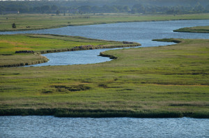 Large parts of the Oder and the Vistula river valleys are protected as Natura 2000 sites.