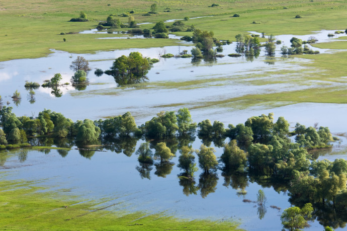 Allowing natural flooding of rivers is an important natural process.
