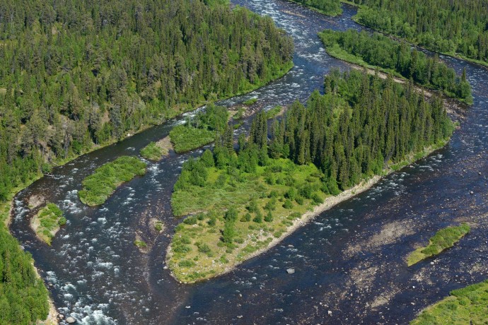 Taiga boreal forests and magnificent rivers of Lapland