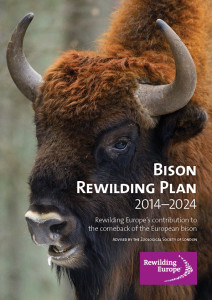Rewilding Europe sets out its vision of restoring viable, free-ranging bison populations across Europe.