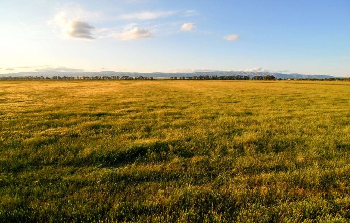 Conversion of agricultural lands into more natural areas in Oasi Lago Salso, Puglia region, southern Italy.