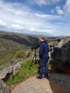 Tristan birdwatching in Mid Côa Valley, Western Iberia rewilding landscape, Portugal.