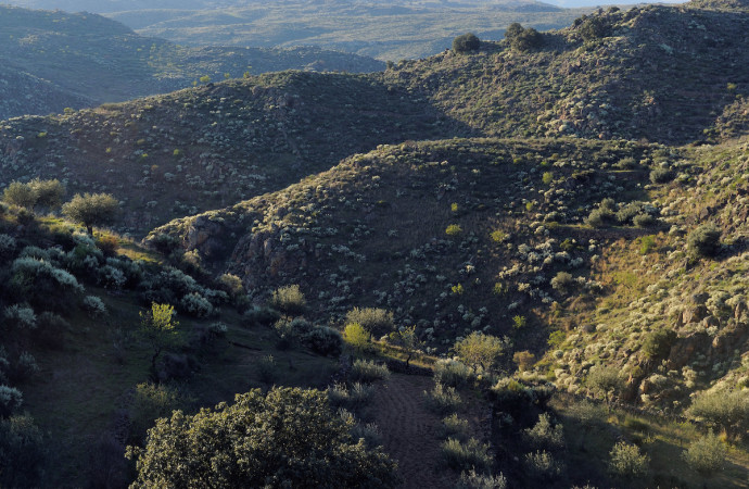 Land abandonment in the Faia Brava reserve, Western Iberia rewilding area, Portugal.