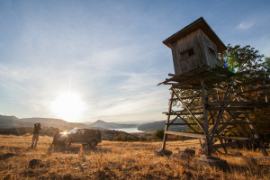 Field work and wildlife watching with the Rhodope Mountains rewilding team.