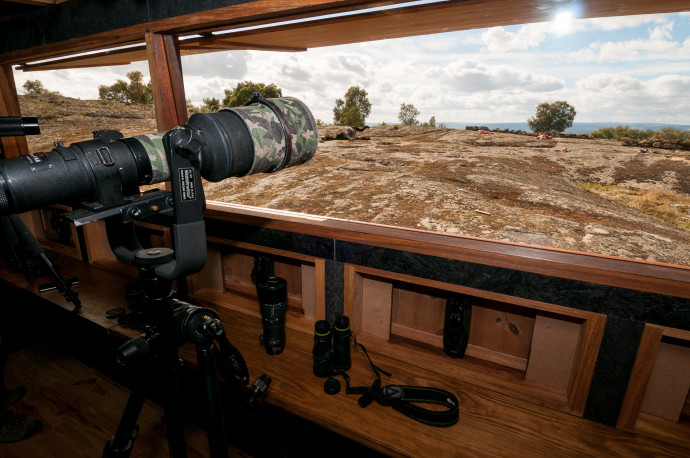 Wildlife Portugal's newly constructed hide, positioned next to the new artificial vulture feeding station at Faia Brava nature reserve, is available for booking from April 2017.