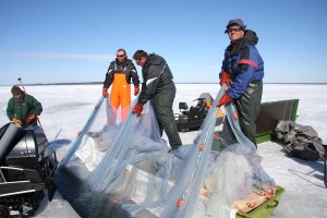 Snowchange has won several environmental and human rights awards since its inception in 2000.