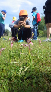 At the Faia Brava camps students learned about rewilding as a new approach to conservation.