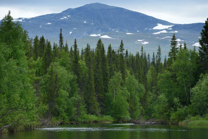 Lapland is one of the world's most underrated wildlife watching destinations, with fantastic potential for the development of a nature and culture-based economy.