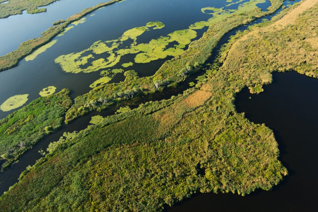 Danube Delta receives major grant to enable record-breaking restoration