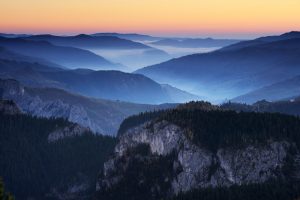 Rewilding Europe is flourishing. Our vision and concepts are spreading in different forms, involving a growing number of inspired people who embrace the idea of more wild nature across our continent.
