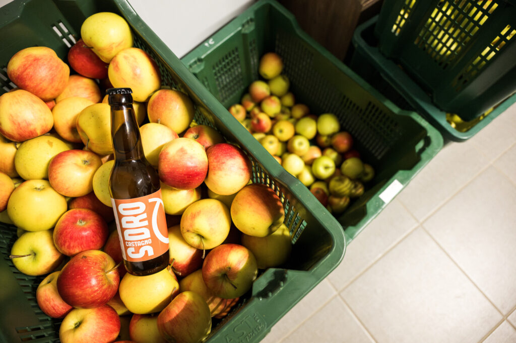 Melagusto, an apple cider brewery - local produce from the Central Apennines.