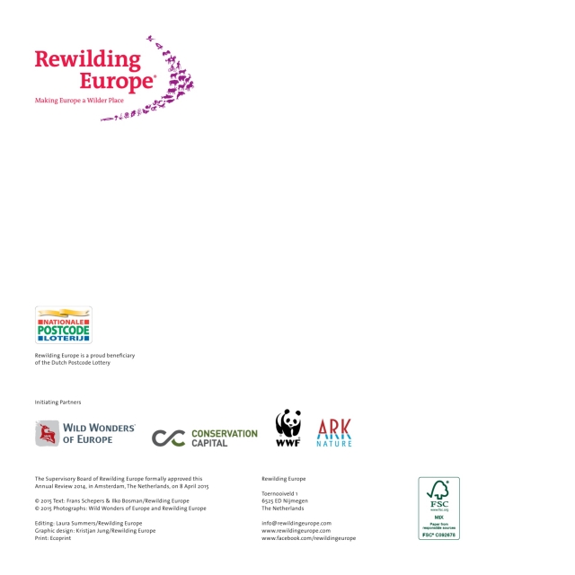 new balance 620 kinderen oranje